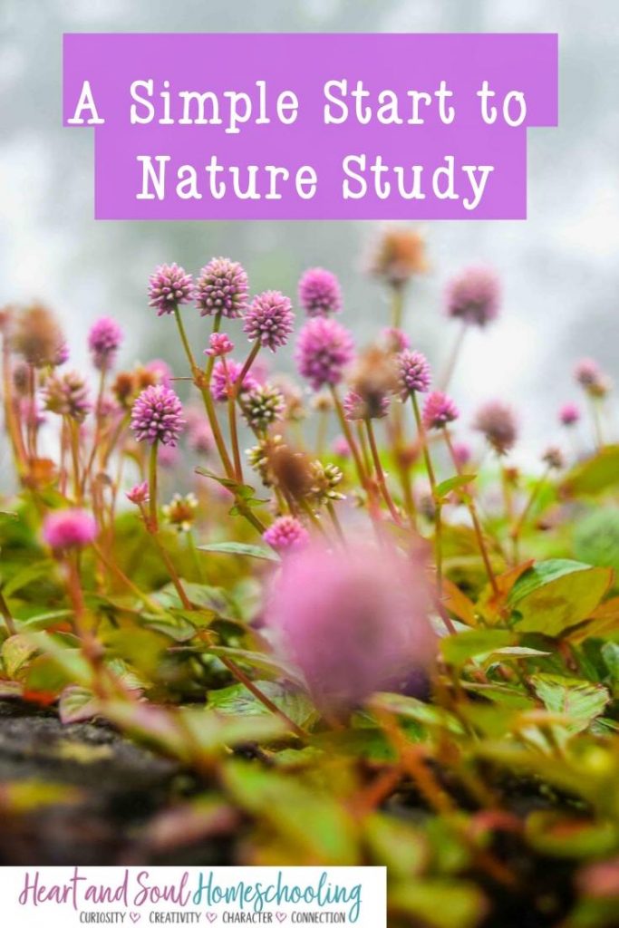 Homeschool Nature Study Resource: Keeping a Nature Journal - Review -  Homeschool Nature Study