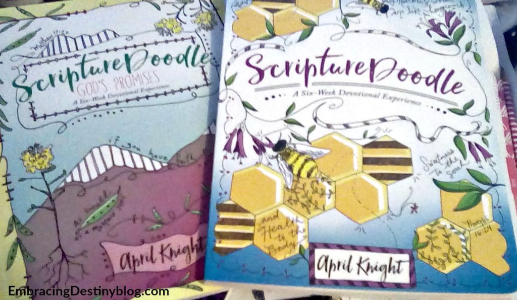 Scripturedoodle: A Six-Week Devotional Experience [Book]