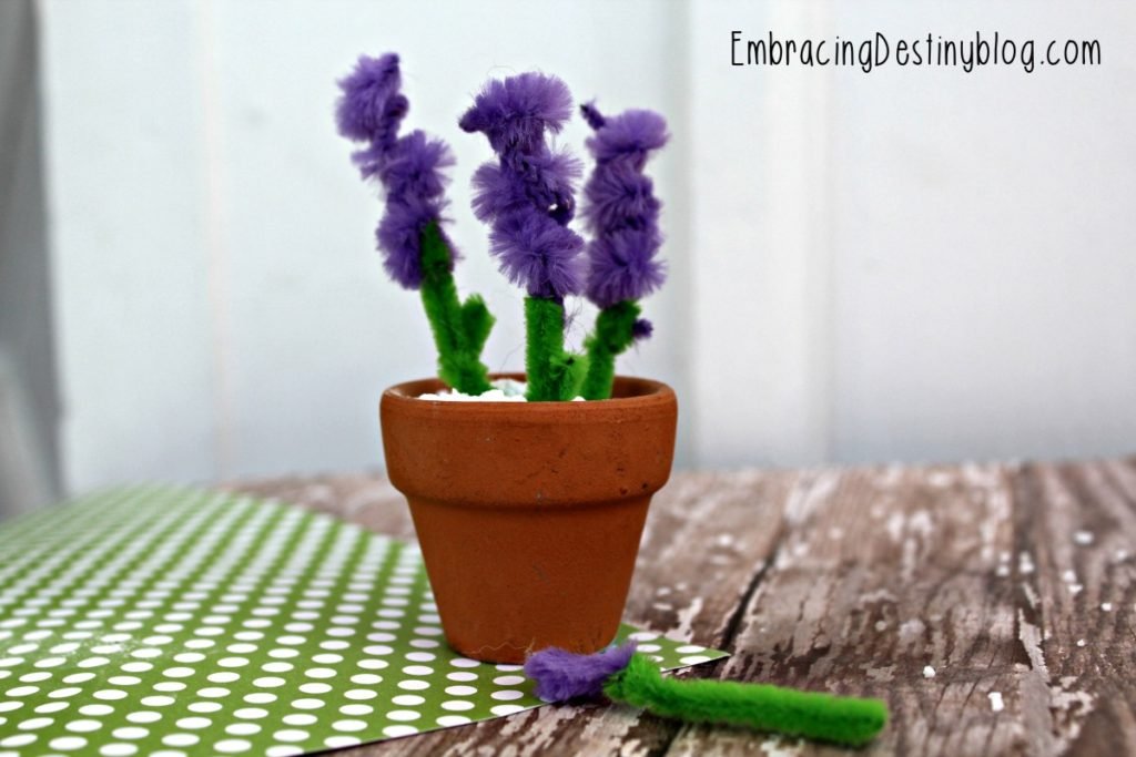 Make Your Own Hyacinth Pipe Cleaner Craft - Heart and Soul Homeschooling