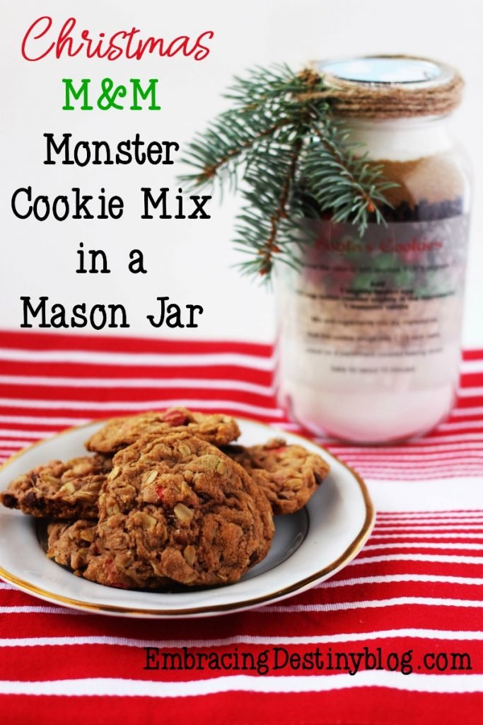 Unique and Fun Christmas Cookie Supplies - Heart and Soul Homeschooling