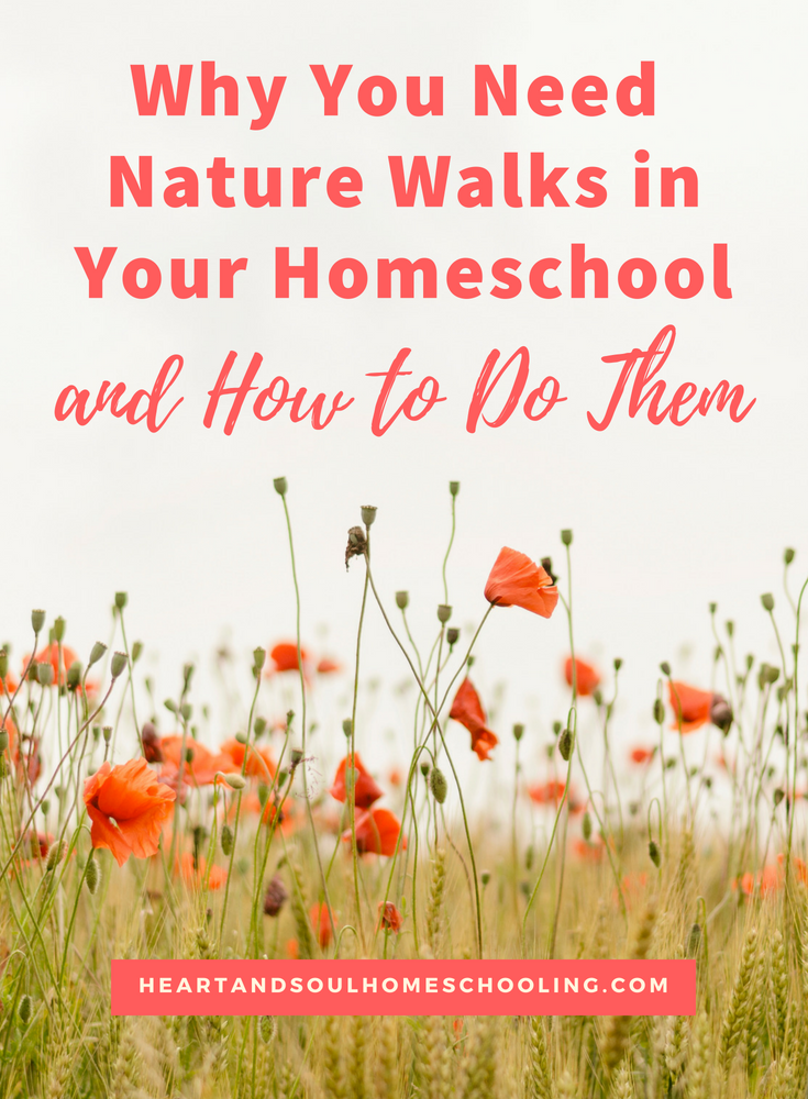 How to do nature walks in your #homeschool | #homeschooling nature study