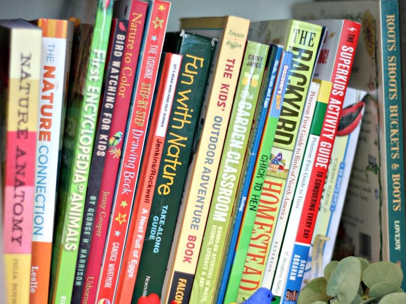 how to create a science shelf in your homeschool | nature study | homeschool science | interest-led learning | delight-directed homeschooling | strewing