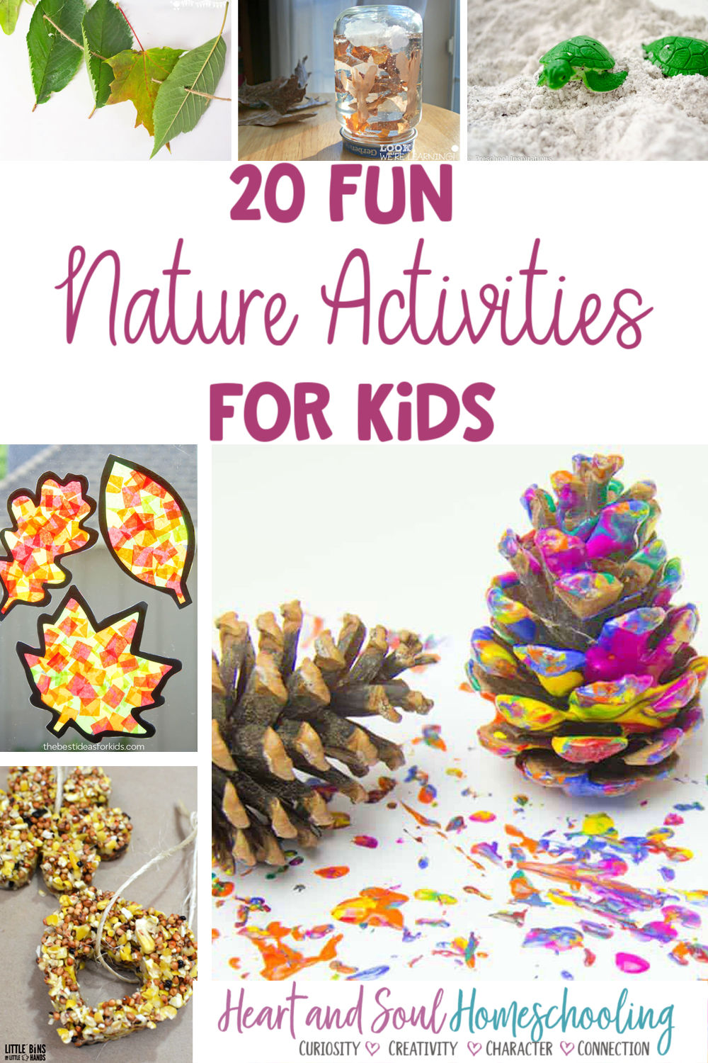 Exploring Nature with Kids by Observing and Sketching - Frugal Fun For Boys  and Girls