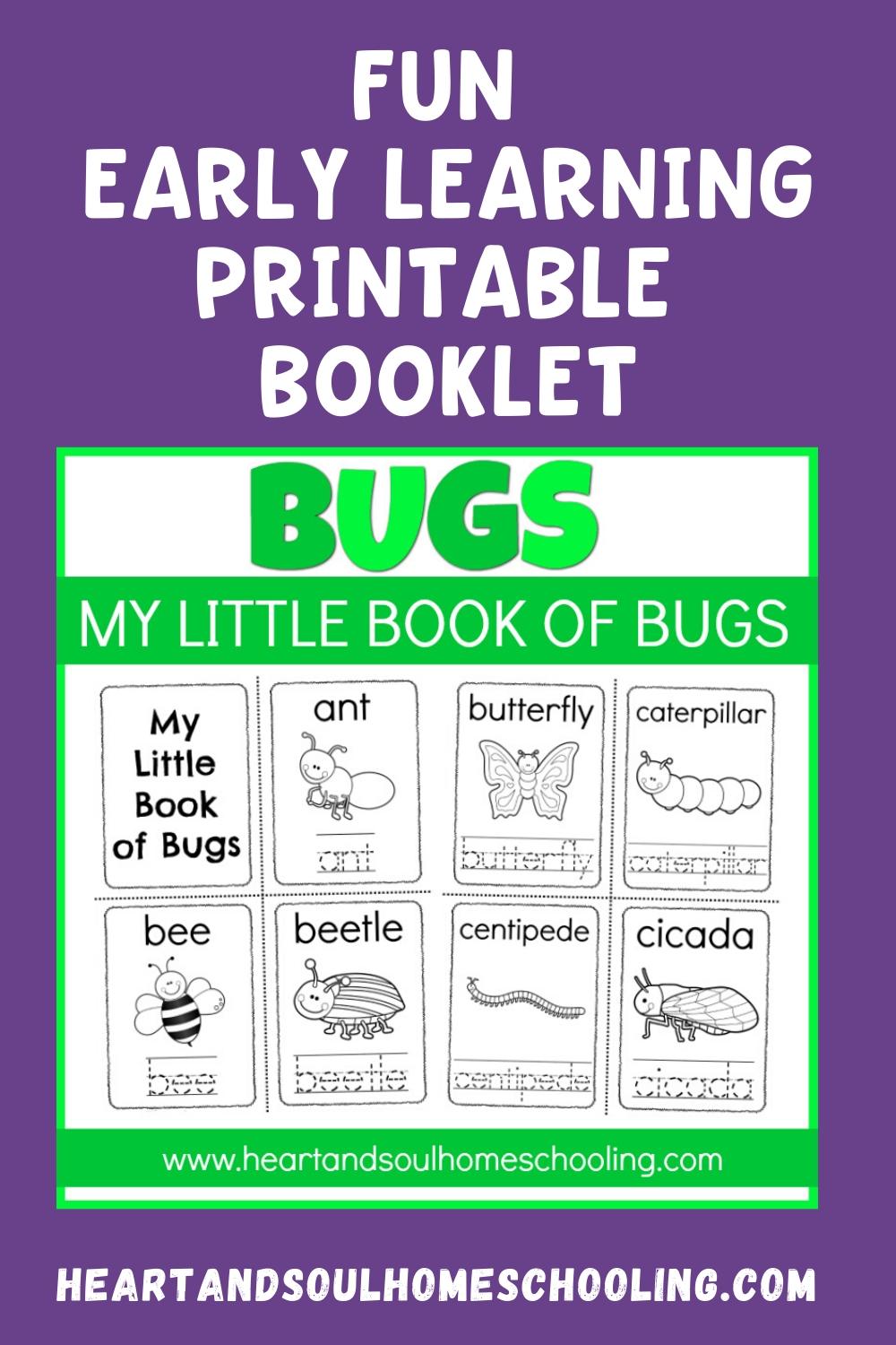 My Little Book of Bugs Printable Booklet - Heart and Soul Homeschooling