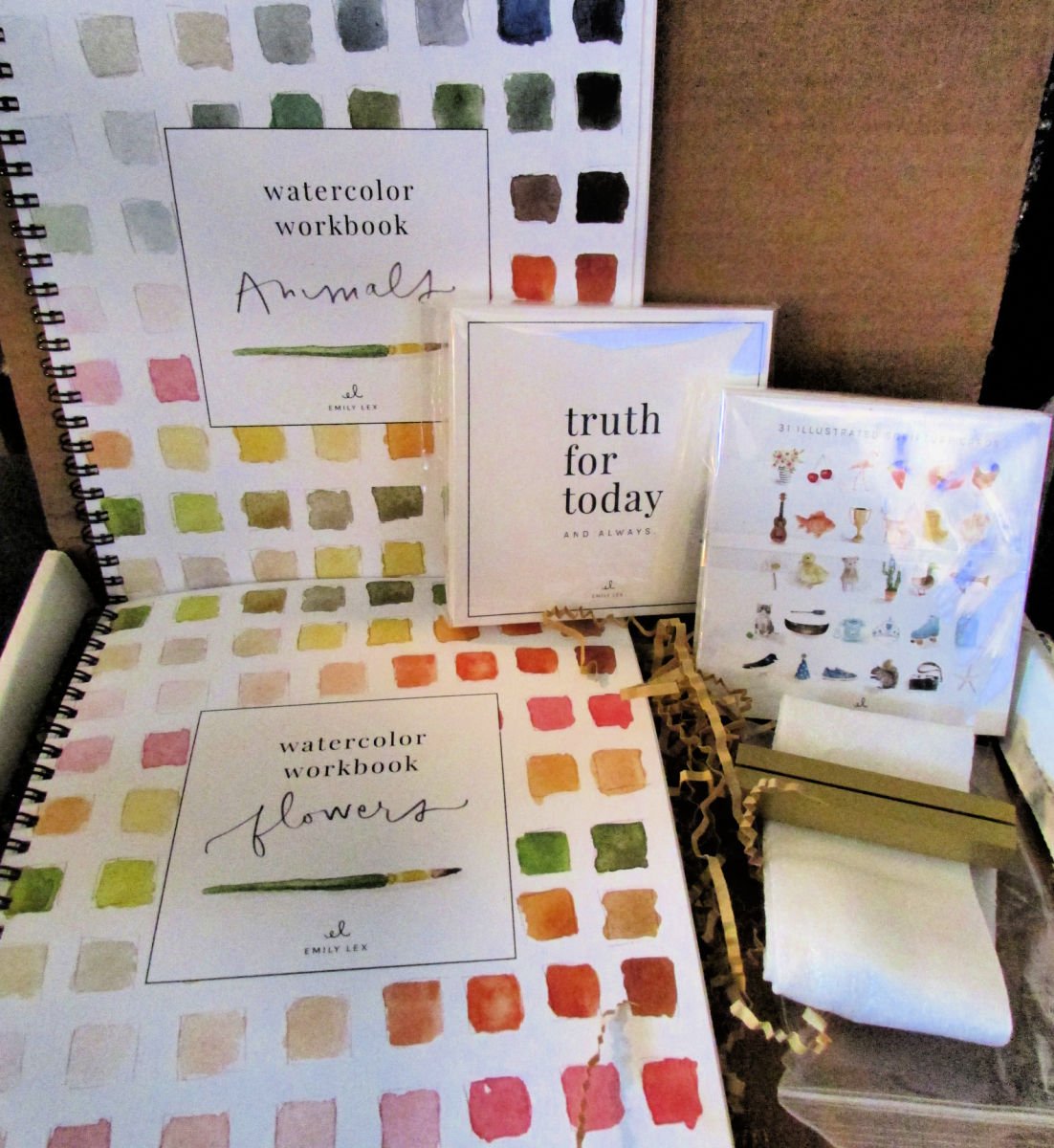 Emily Lex Watercolor Package and Classes Review #EmilyLex #Watercolors  #WatercolorClass - Brooke Blogs