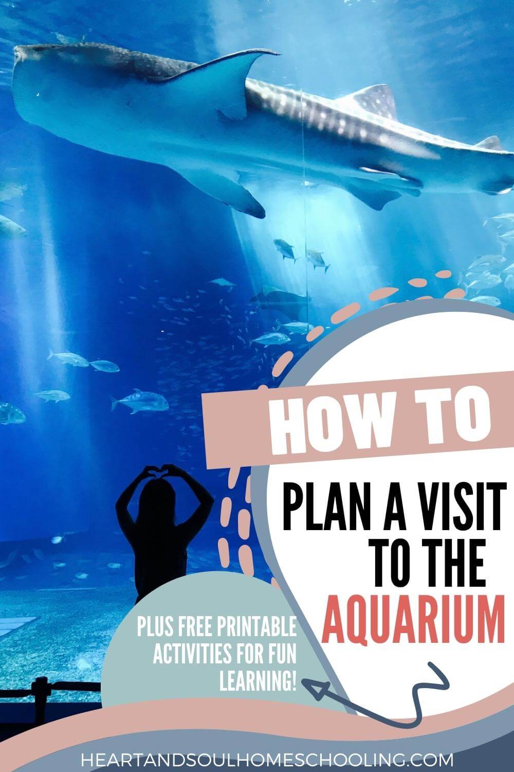 a-visit-to-the-aquarium-heart-and-soul-homeschooling