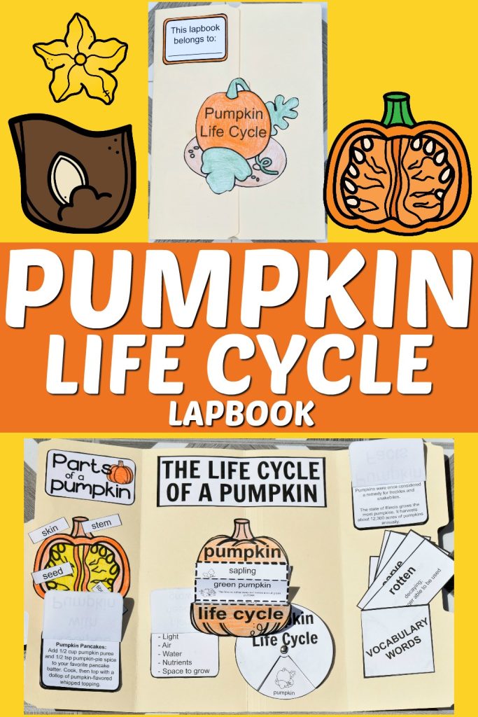 Pumpkin Life Cycle Lapbook - Heart and Soul Homeschooling